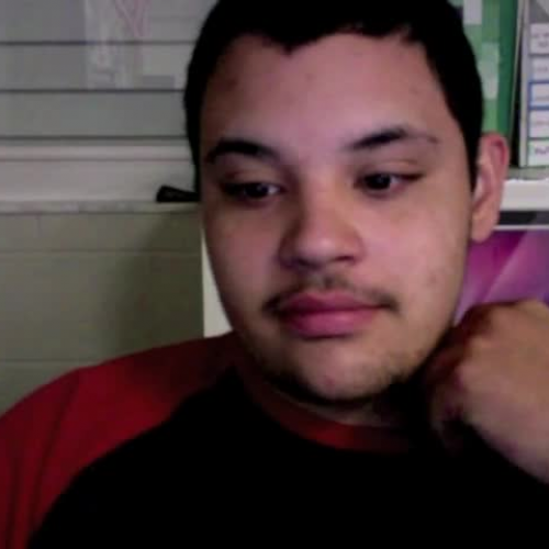 Spanish 1 visual project