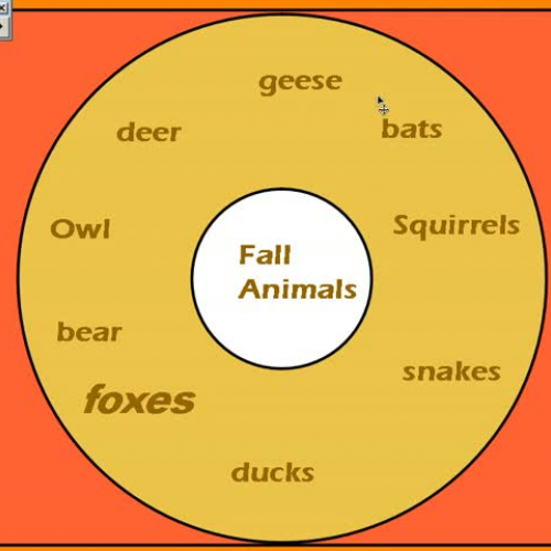 Animal Project Video