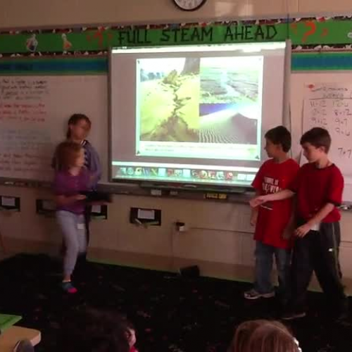 Erosion at Our School