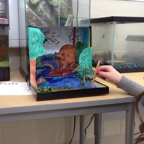 The Raccoon and the Killdeer by SR