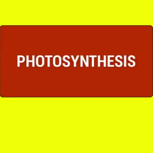 Photosynthesis - Light Dependent Stages