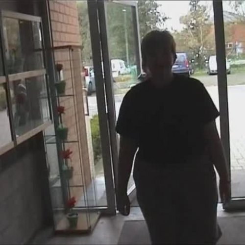 Comenius: Saying Hello