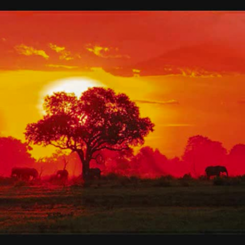 West Africa Attention Grabber Images