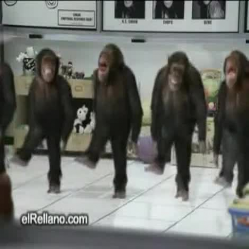 monkey_dance