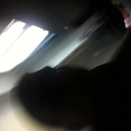 3.02 Describe The Family Visual Presentation 