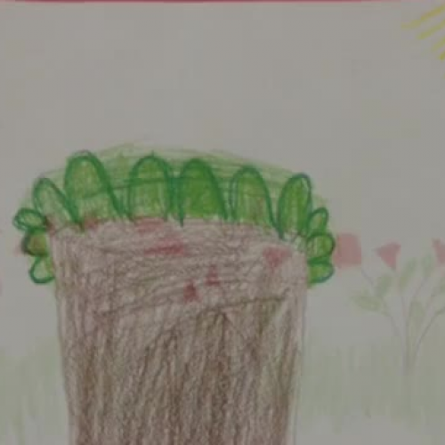 Visualization Lesson