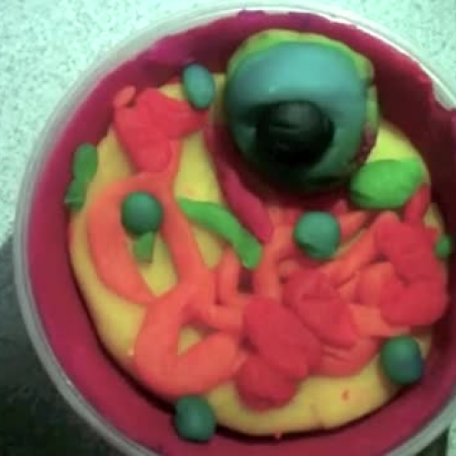 Student Cell Project