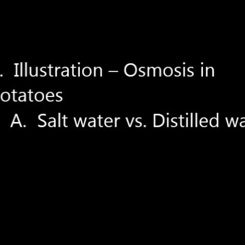 VSVS - Osmosis (Mini-Lesson)