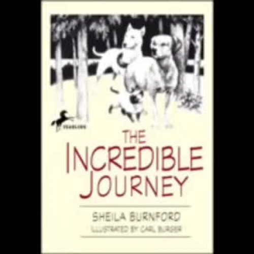 Video 2012-12-21 10.16.53 AM