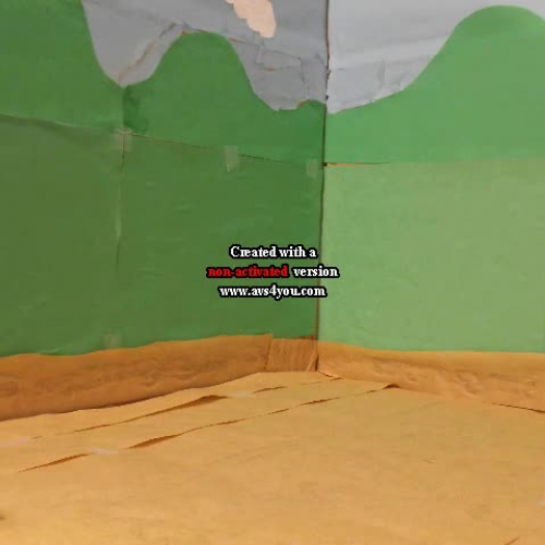 stop motion project savannah