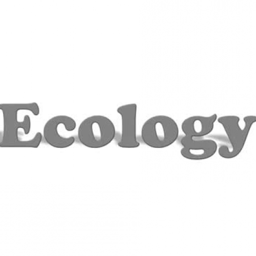 Ecology Introduction