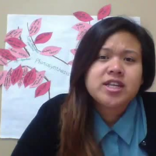 Energy Cards- Using Realia An EL Strategy