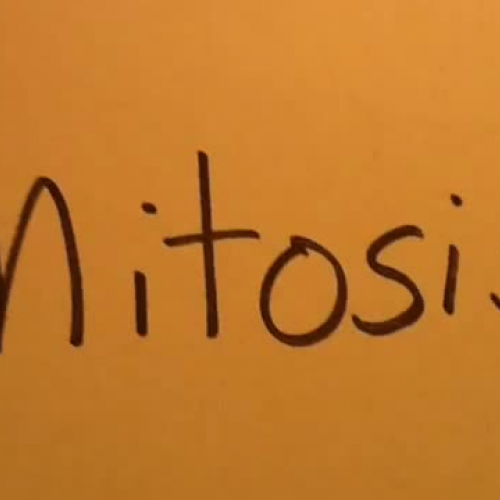Mr. Eash’s Mitosis Movie