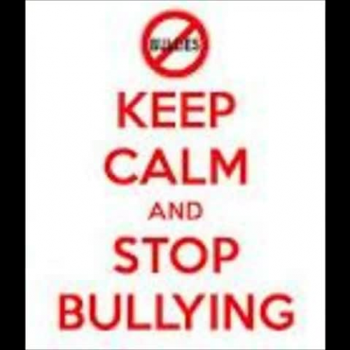 bullying is mean