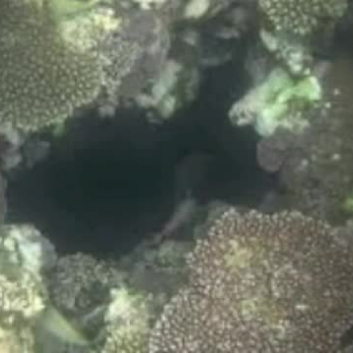 Nathaniel ER_Memoir1213