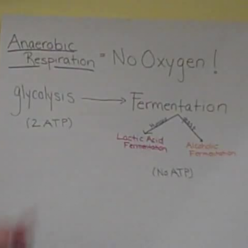 Anaerobic Respiration Review (Glycolysis to F