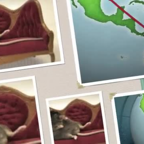 MichelleP_Memoir 1213