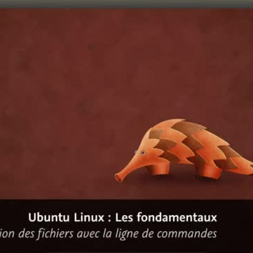 Ubuntu - Linux : Gestion des fichiers avec la