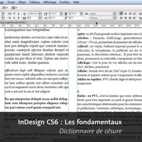 InDesign CS6 : Dictionnaire de c?sure