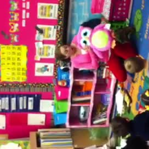 Beginning of Owl Lesson