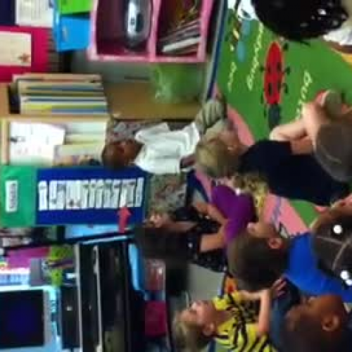 Baby Owl Back in Tree