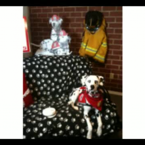 Smoke Alarm Video by the Fire Safety Dogs Jul