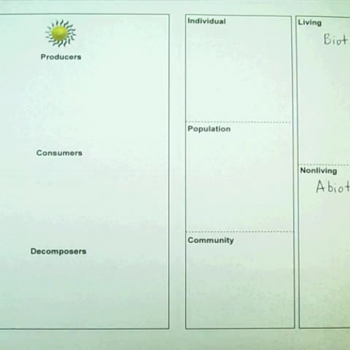 Ecosystem Interactions