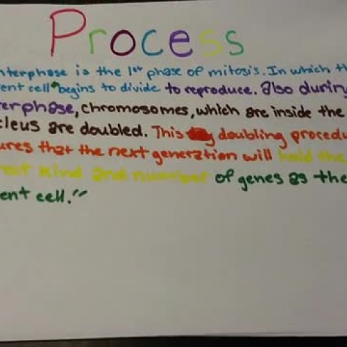 Interphase - Mindy, Julia, Marian, Alexis