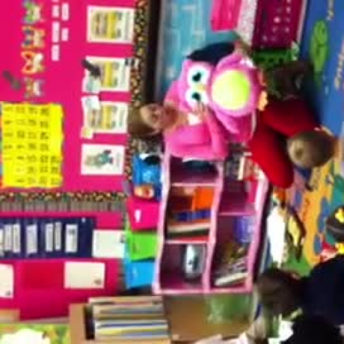 Beginning of Owl Lesson