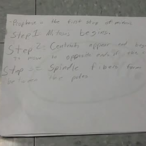 Prophase - Jeremy, Haden, Christina, Bernice