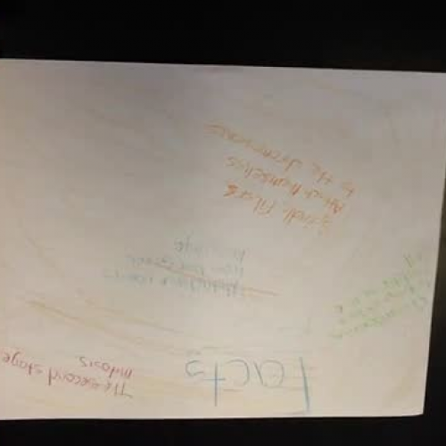 Metaphase - Kendall, Kaylee, Isham, Dillon, K