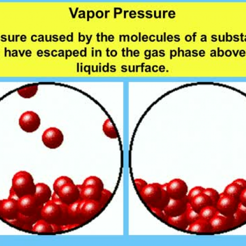 ScrnCst-vaporpressure
