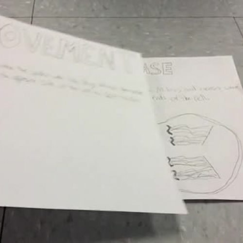 Anaphase - Miller, Kacey, Andrew, Skyler