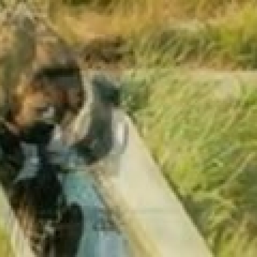 jack goldeneaglepictures