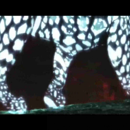 Healthy Life Style Things