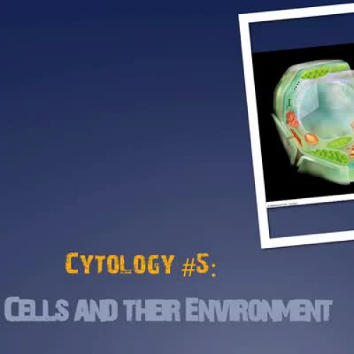 Cellenvironment