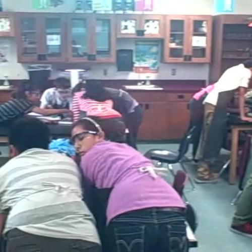 Got Squids Grant T.A. Howard