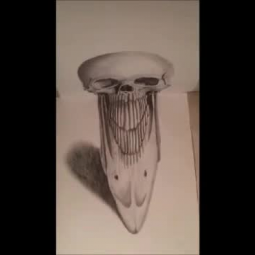3d anamorphic drawing of a skull