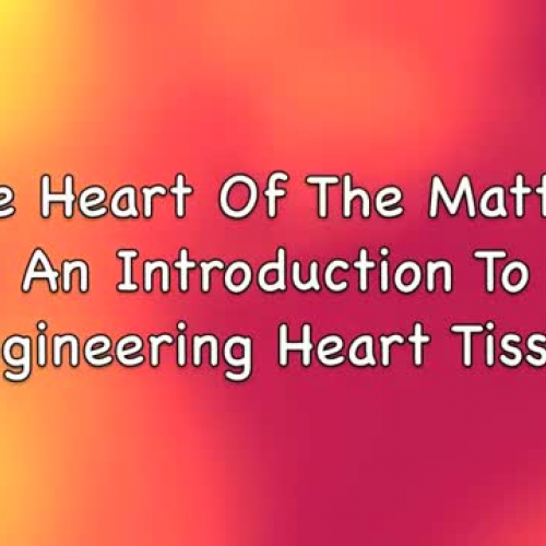 An Introduction to Engineering Heart Tissue