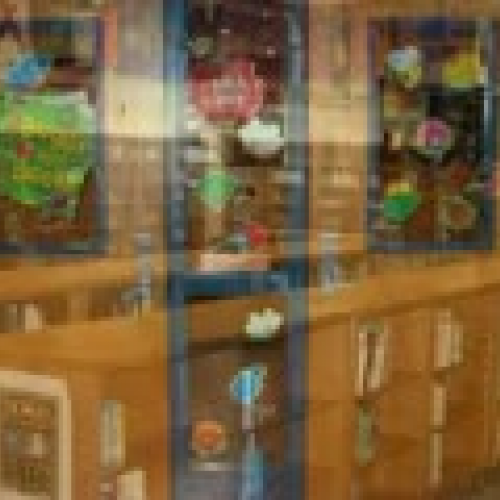 Digital Story Project_LyonsRachel