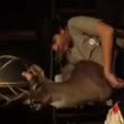 Alex, Stewart, Olivia, and Allie