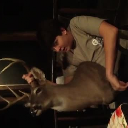 ALEX, ALLIE, OLIVIA, AND STEWART