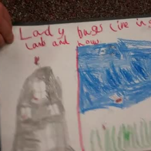 Cian 2013-01-16 22 31 48