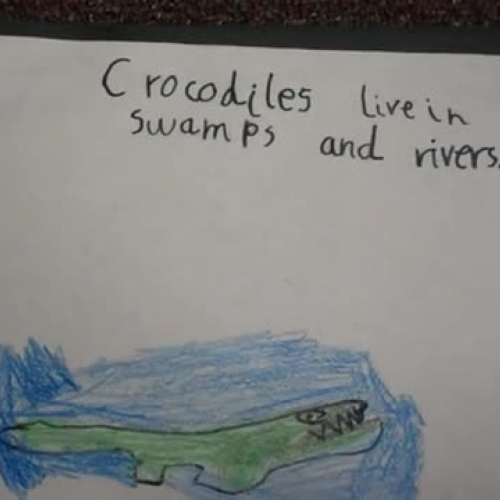 Dylan 2013-01-15 22 42 40