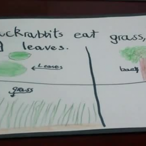 Ella 2010-02-19 22 03 34