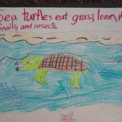 Julia 2013-01-16 22 22 34