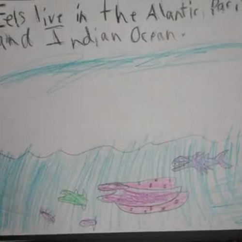 Tyler 2013-01-16 22 20 46