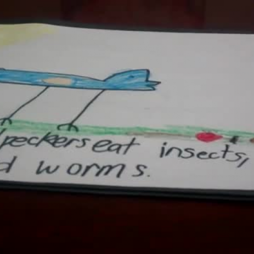 Zharia 2010-02-19 22 11 34