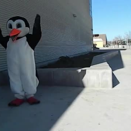 Joe, Josie, &amp; Penguin