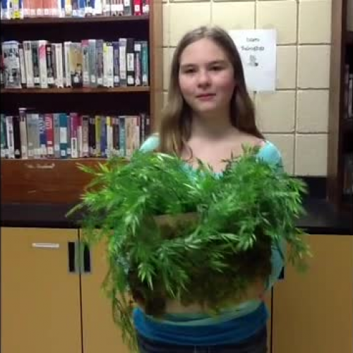 MCMS Career Explorations Commercial ?Plant Gr